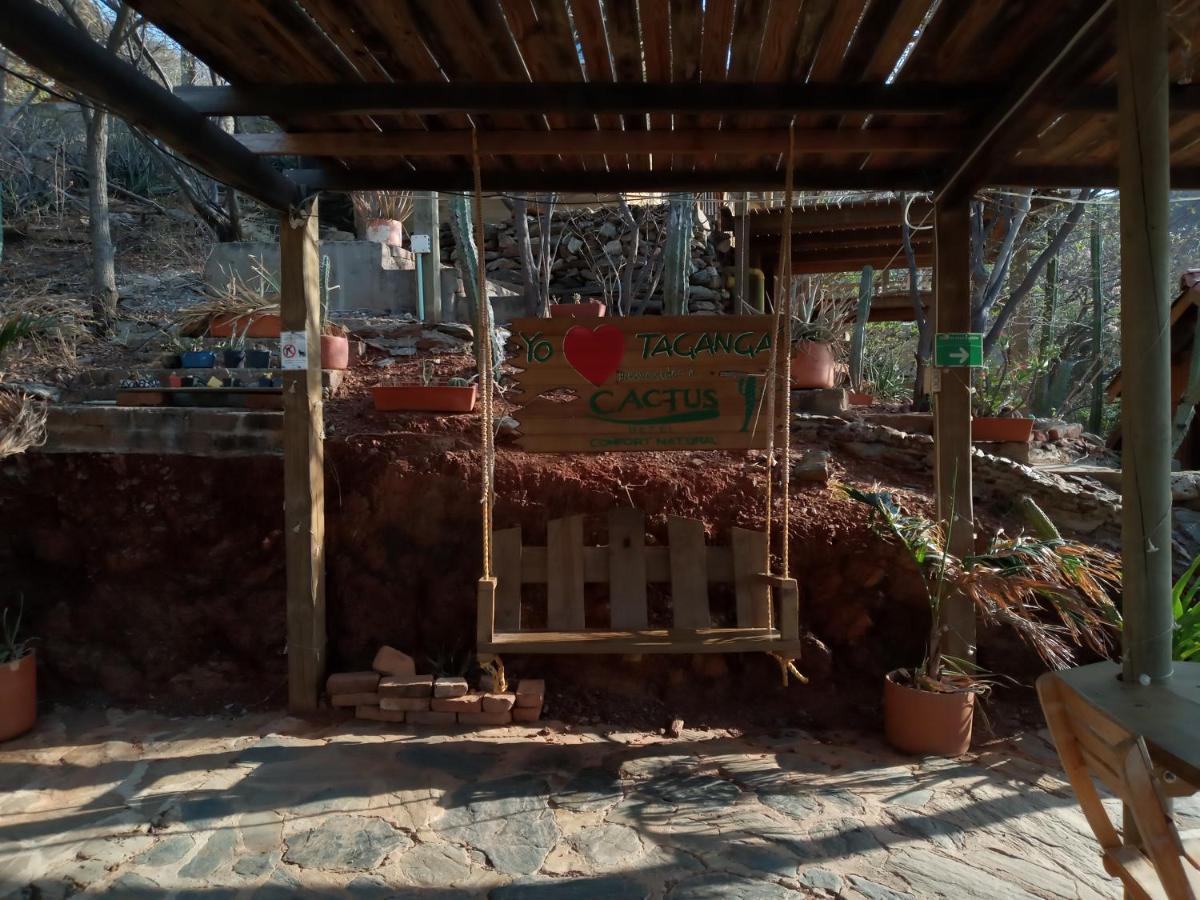 Hotel Cactus Таганга Экстерьер фото