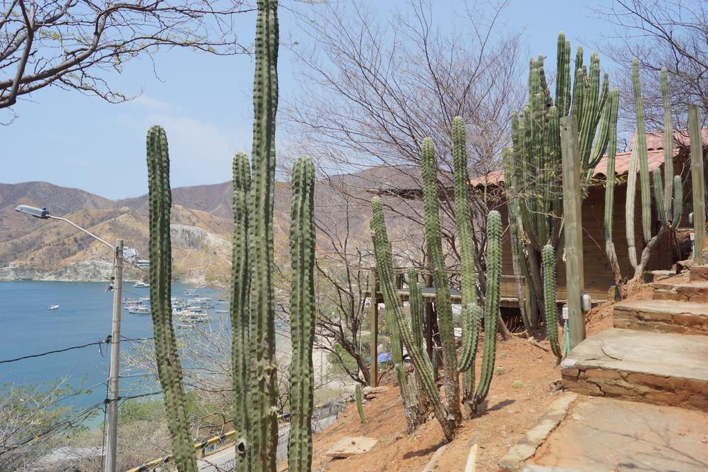Hotel Cactus Таганга Экстерьер фото