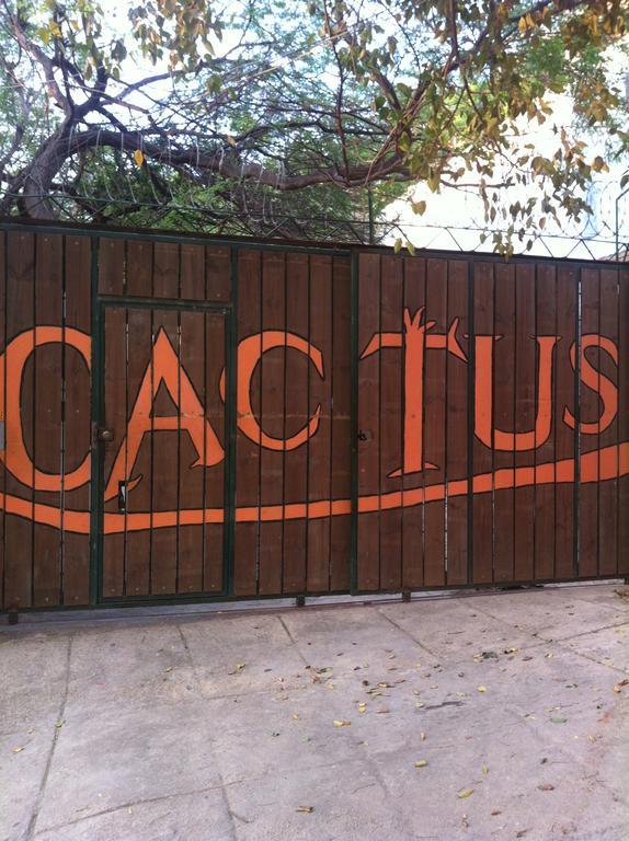 Hotel Cactus Таганга Номер фото